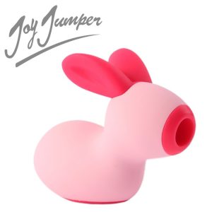 Rabbit Joy Jumper 2.jpg